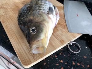 The practice measure of beer fish 1