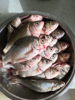The practice measure of small hot fish 1