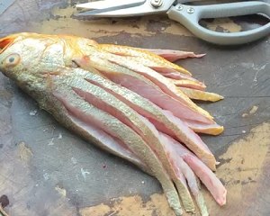 隣の子供のトマト砂科の魚の練習対策を泣き叫ぶ1