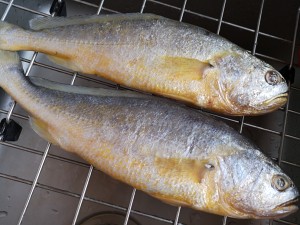 Fight the practice move that burns yellow croaker 1