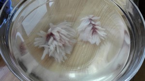 The practice measure of chrysanthemum fish 5