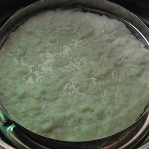 The practice measure of piscine cake 11