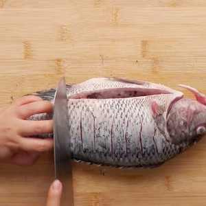 The practice measure of fish of valve of Mr. Huang beans 2