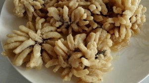 The practice measure of chrysanthemum fish 13