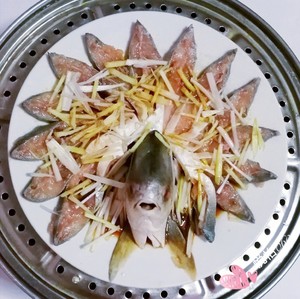 The practice measure of fish of steamed peacock spread its tail 11