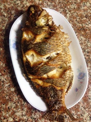 The practice measure of beer fish 2