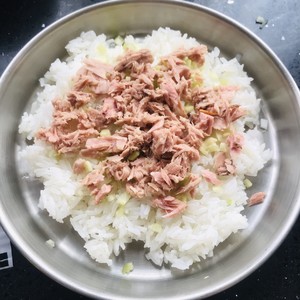 Tuna mixes meal -- the practice measure of quick worker edition 2