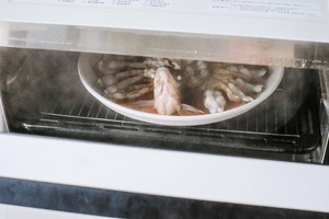 Fish of spread its tail of riches and honour -- the practice measure of oven of big evaporate of the NU-JK200W below the pine 17