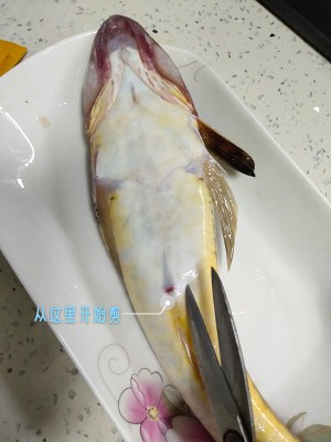 The practice measure of beer braid fish 2