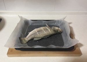 The practice measure of fish of bag of domestic edition paper 8