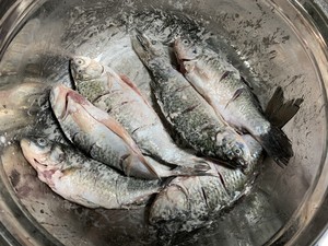 Should be to comparative fish bone of head of filling calcium fishbone together OK chew " fish of carapace of scamper small crucian carp " practice measure 3