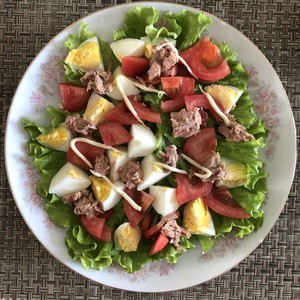 The practice measure of tuna vegetable salad 2