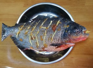 The practice measure of fish of white storehouse of smoked plum evaporate 4