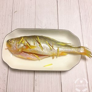 The practice measure of bright evaporate yellow croaker 3