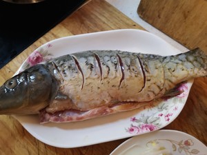 蒸し高位皇室横魚1の魚の練習尺度 