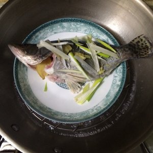Darling complementary the practice measure of the mud that eat a fish 3