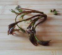 The practice measure of fish of Chinese toon of crackling of a condiment made of roast prickly ash and salt 8