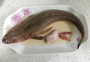 The practice measure of beer braid fish 5