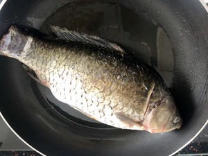 The practice measure of beer fish 3