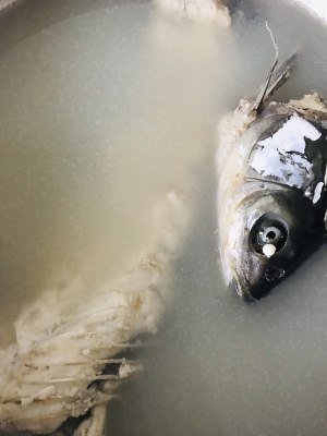 The practice measure of the fish of hemp hot water that boil 2