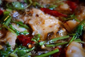 Fish of pickled Chinese cabbage (edition of willow of dragon benefit fish) practice measure 7