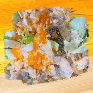 Meal of Hawaiian raw fish is delicious really to cried practice measure 4