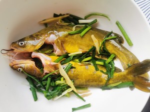 The practice measure of soup of bean curd of yellow bone fish 1