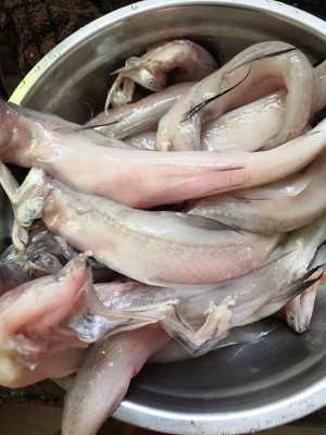The practice measure of the cake of bean curd fish that need not add water 1