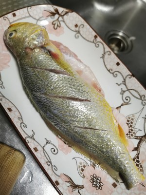 The practice measure of yellow croaker of braise in soy sauce 1