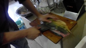The practice measure of stone boiler fish 1