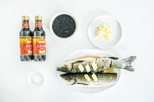 西湖酢5の魚の練習対策