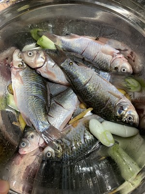 Should be to comparative fish bone of head of filling calcium fishbone together OK chew " fish of carapace of scamper small crucian carp " practice measure 2
