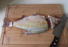 The practice measure of blunt-snout bream of spread its tail 1