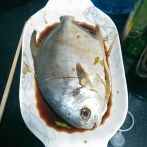 練習対策 魚の1 