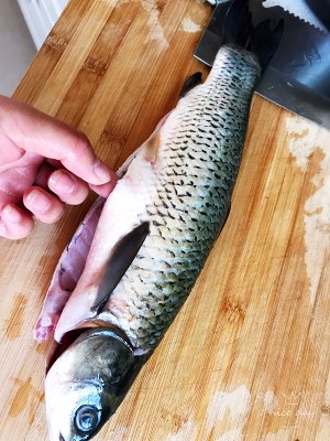 Candy is fat the practice measure of fish of fat delicate beer 1