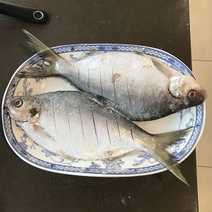 簡単な機密性の厳しいタケノコ3の醤油で煮込みの魚を超える練習対策