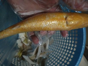 Steamed yellow croaker of the child (which to eat to was not pricked) practice measure 2