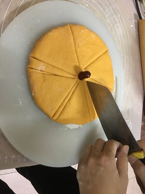 The practice measure that pumpkin fish includes 1