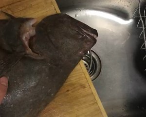 The practice measure that fish of opium of braise in soy sauce comes to quickly in the bowl 1