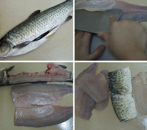 The practice measure of piscine cake 1