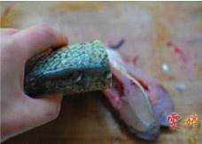 The practice measure of fish of large fortune spread its tail 4