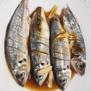 醤油1の煮込みの練習尺度