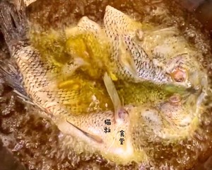 The practice measure of beer fish 4