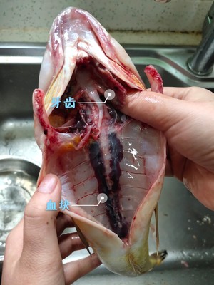 The practice measure of beer braid fish 3