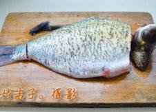 The practice measure of fish of large fortune spread its tail 2