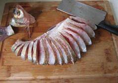 The practice measure of blunt-snout bream of spread its tail 2