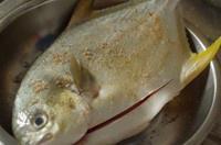 The practice measure of fish of sweet decoct storehouse 2