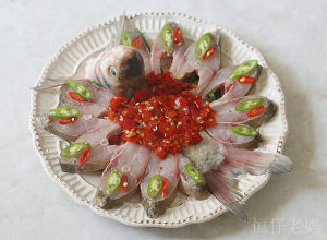 The practice measure of fish of peacock spread its tail 5