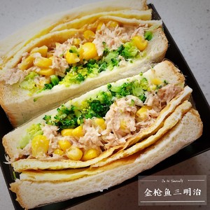 The practice measure of tuna sandwich 9