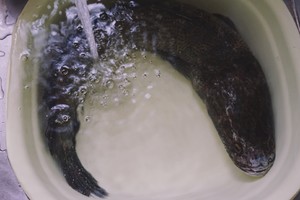 The practice measure of the fish of water of pickled Chinese cabbage that boil 6